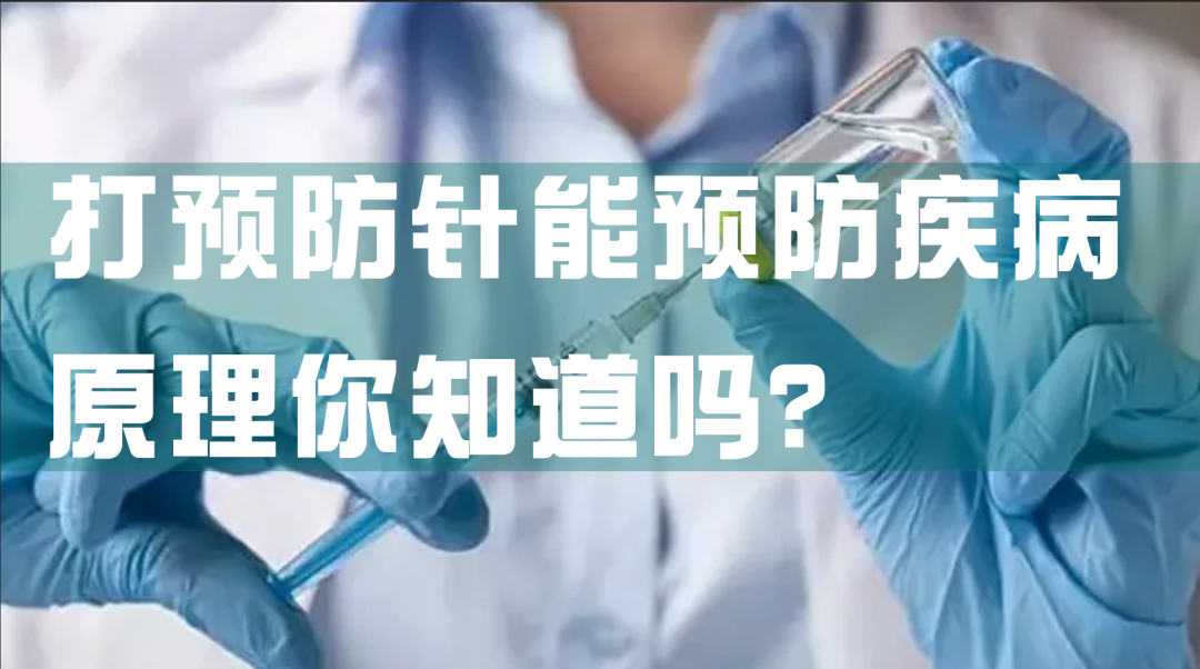 科普园地|打预防针能预防疾病，原理你知道吗？