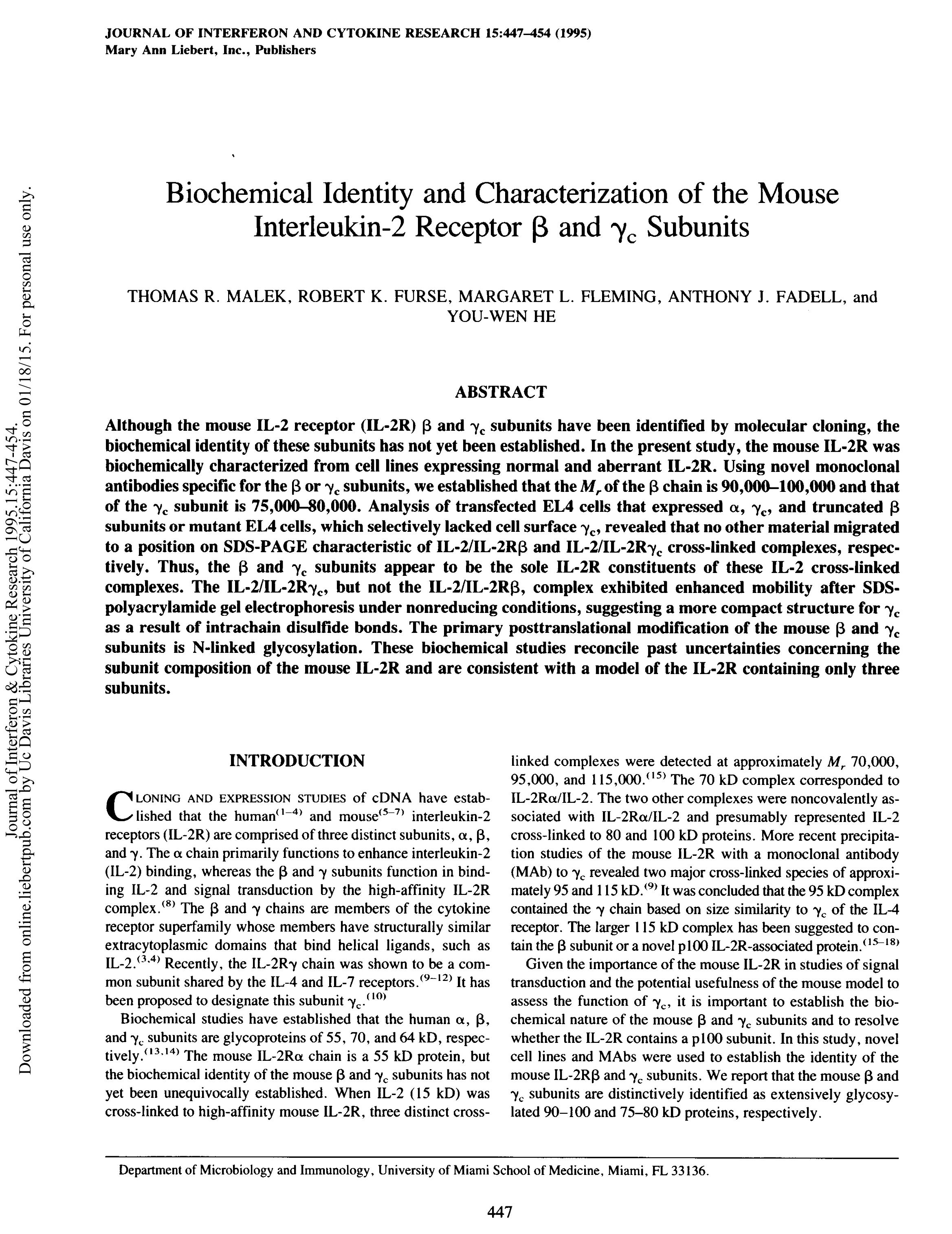 Biochemical identity and characterization of the mouse interleukin-2 receptor beta and gamma c subunits.