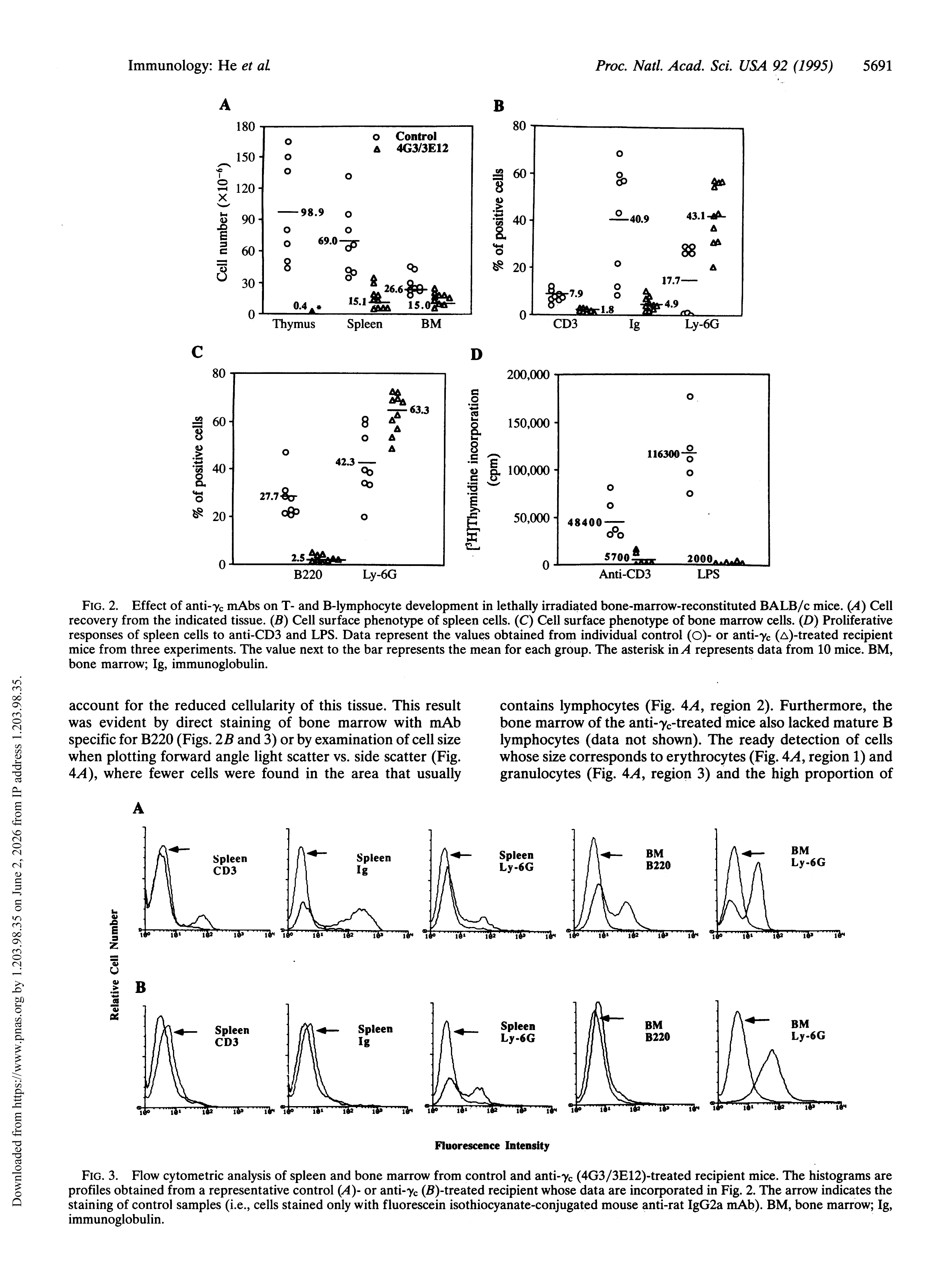 3-Blockade of T- and B-lymphocyte development by antibody to the gamma c subunit of the receptors for interleukins 2, 4, and 7.-3 3-Blockade of T- and B-lymphocyte development by antibody to the gamma c subunit of the receptors for interleukins 2, 4, and 7.-3