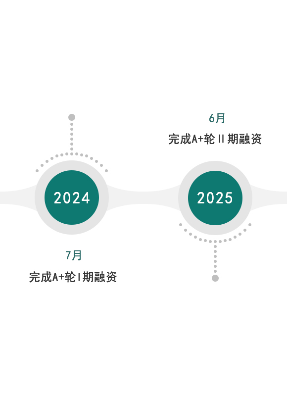 发展历程2025