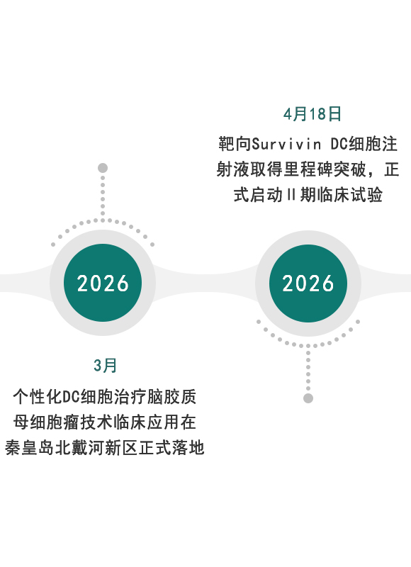 发展历程2026-01