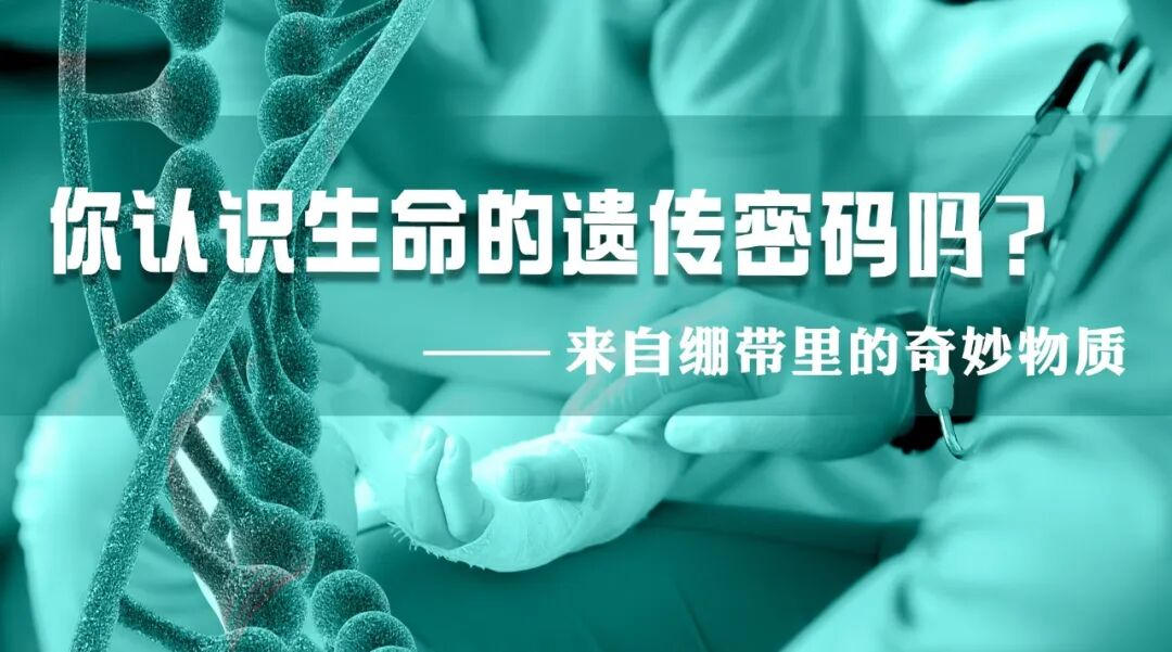2022-05-31_科普园地 来自绷带里的奇妙物质,你认识生命的遗传密码吗?_2 2022-05-31_科普园地 来自绷带里的奇妙物质,你认识生命的遗传密码吗?_2