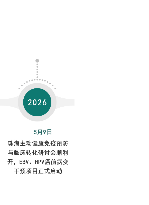 发展历程2026-02