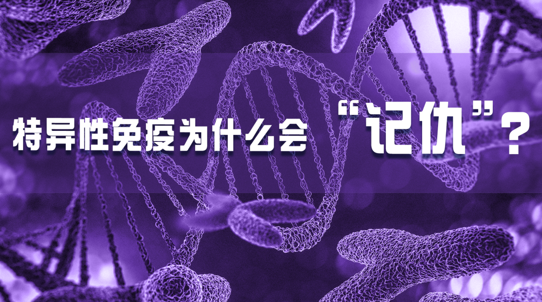 2022-08-17_科普园地 特异性免疫为什么会“记仇”？_1