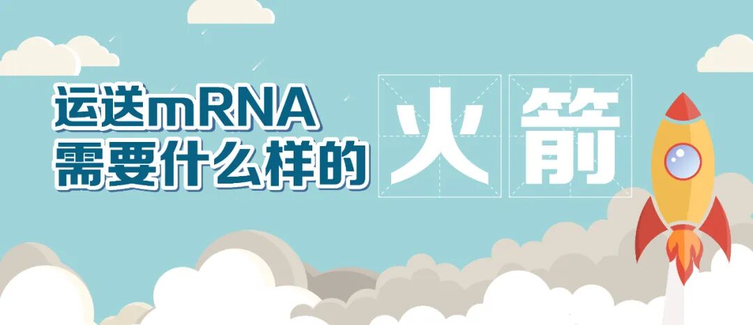 2022-11-28_科普园地 运送mRNA需要什么样的“火箭”?_1 2022-11-28_科普园地 运送mRNA需要什么样的“火箭”?_1