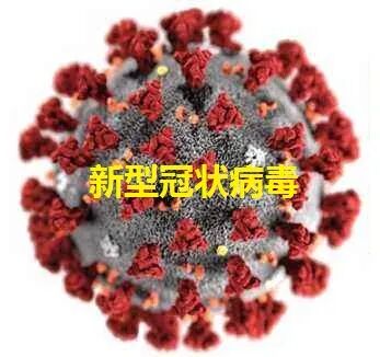 2022-03-01_奥密克戎能否让美国达到群体免疫?_2 2022-03-01_奥密克戎能否让美国达到群体免疫?_2