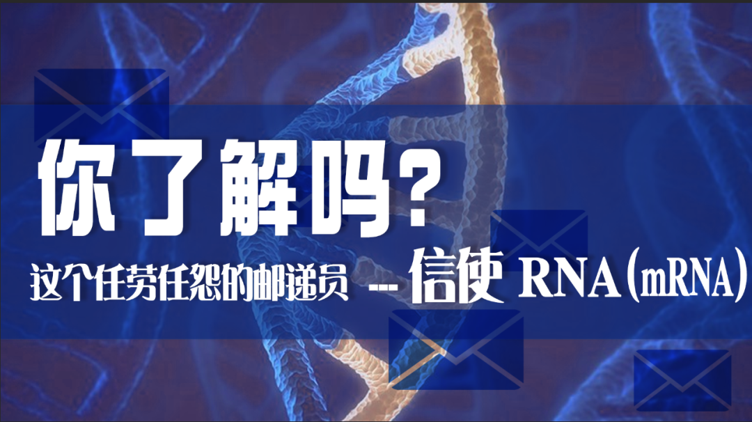 2022-06-17_科普园地 这个任劳任怨的邮递员——信使 RNA(mRNA),你了解吗?_2 2022-06-17_科普园地 这个任劳任怨的邮递员——信使 RNA(mRNA),你了解吗?_2