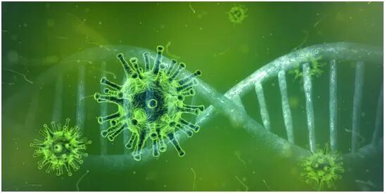2022-02-10_Nature：揭示奥密克戎的遗传学特性和早期传播模式_2