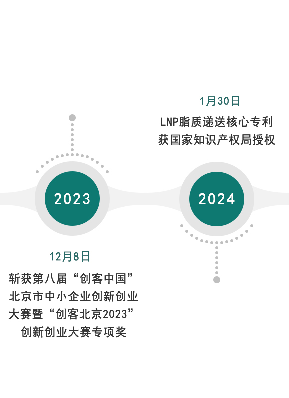 发展历程2024