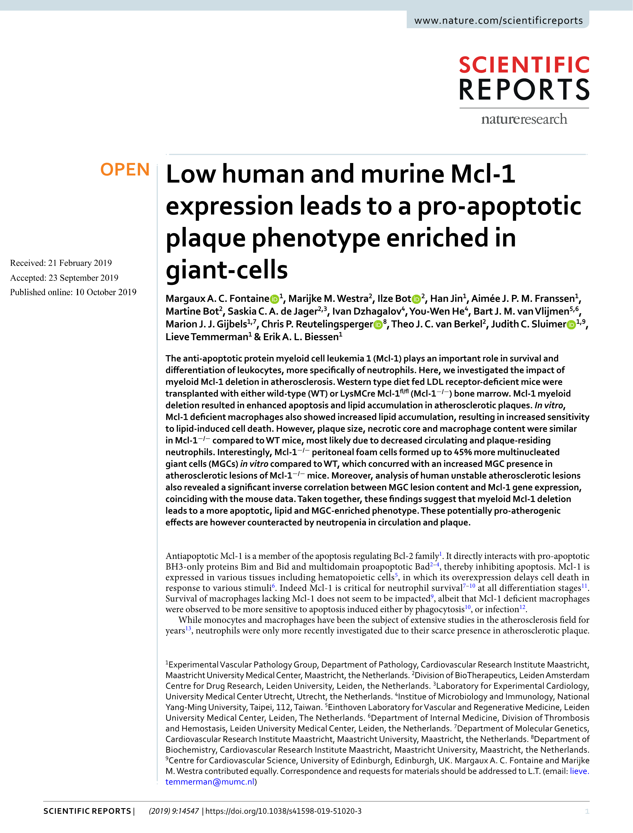 Low human and murine Mcl-1 expression leads to a pro-apoptotic plaque phenotype enriched in giant-cells