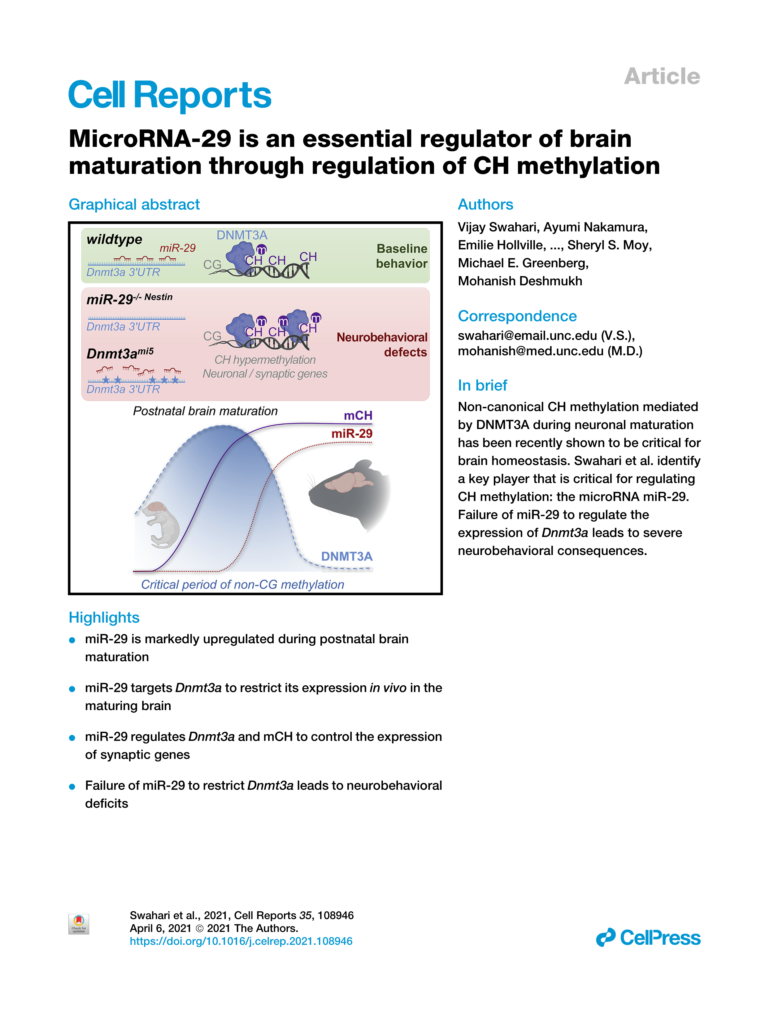 MicroRNA-29 is an essential regulator of brain maturation through regulation of CH methylation