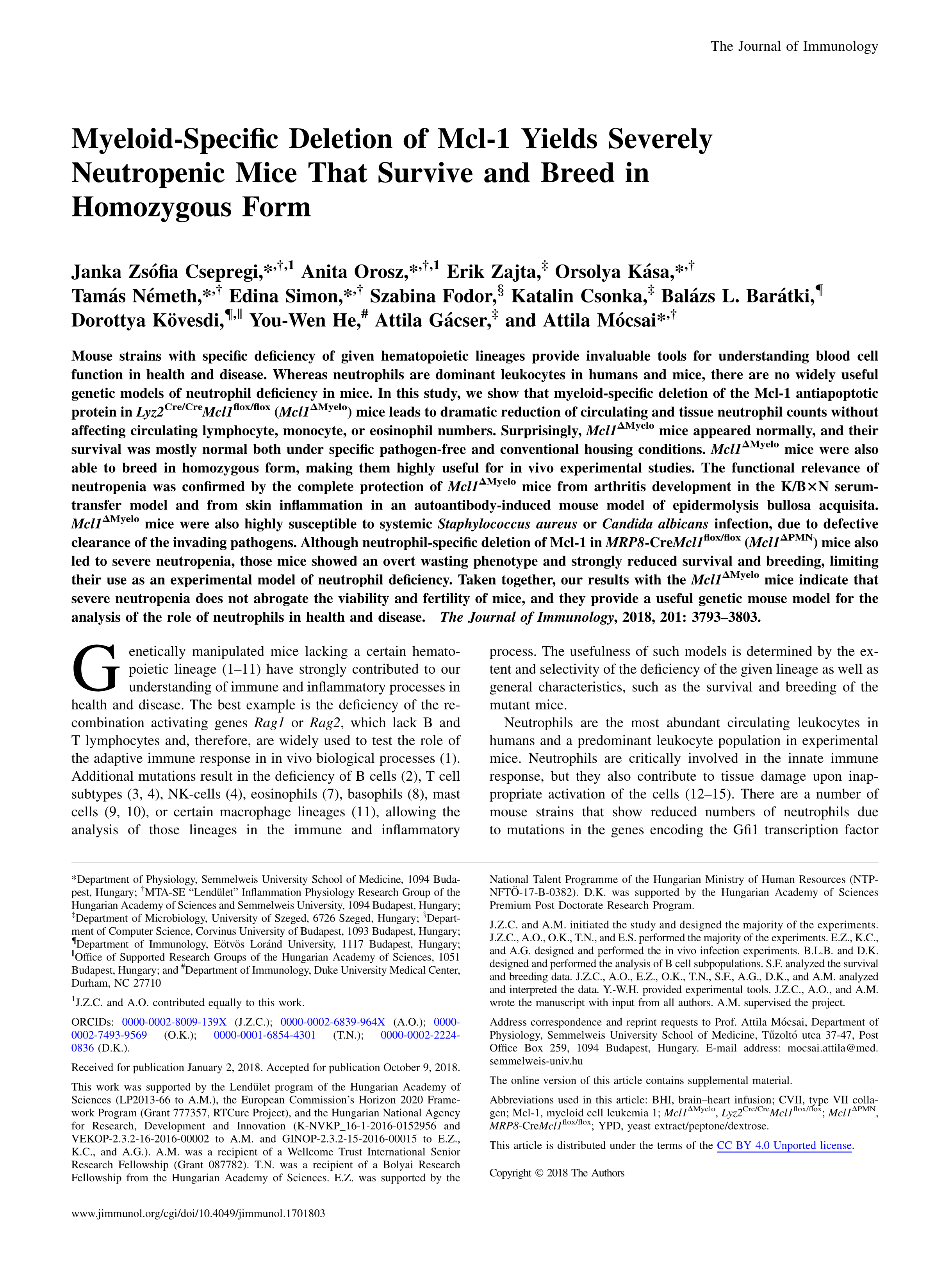 Myeloid-Specific Deletion of Mcl-1 Yields Severely Neutropenic Mice That Survive and Breed in Homozygous Form.