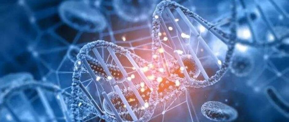 Bioengineers Demonstrate Immunotherapy Eliminates Ovarian and Colorectal Cancer in Mice