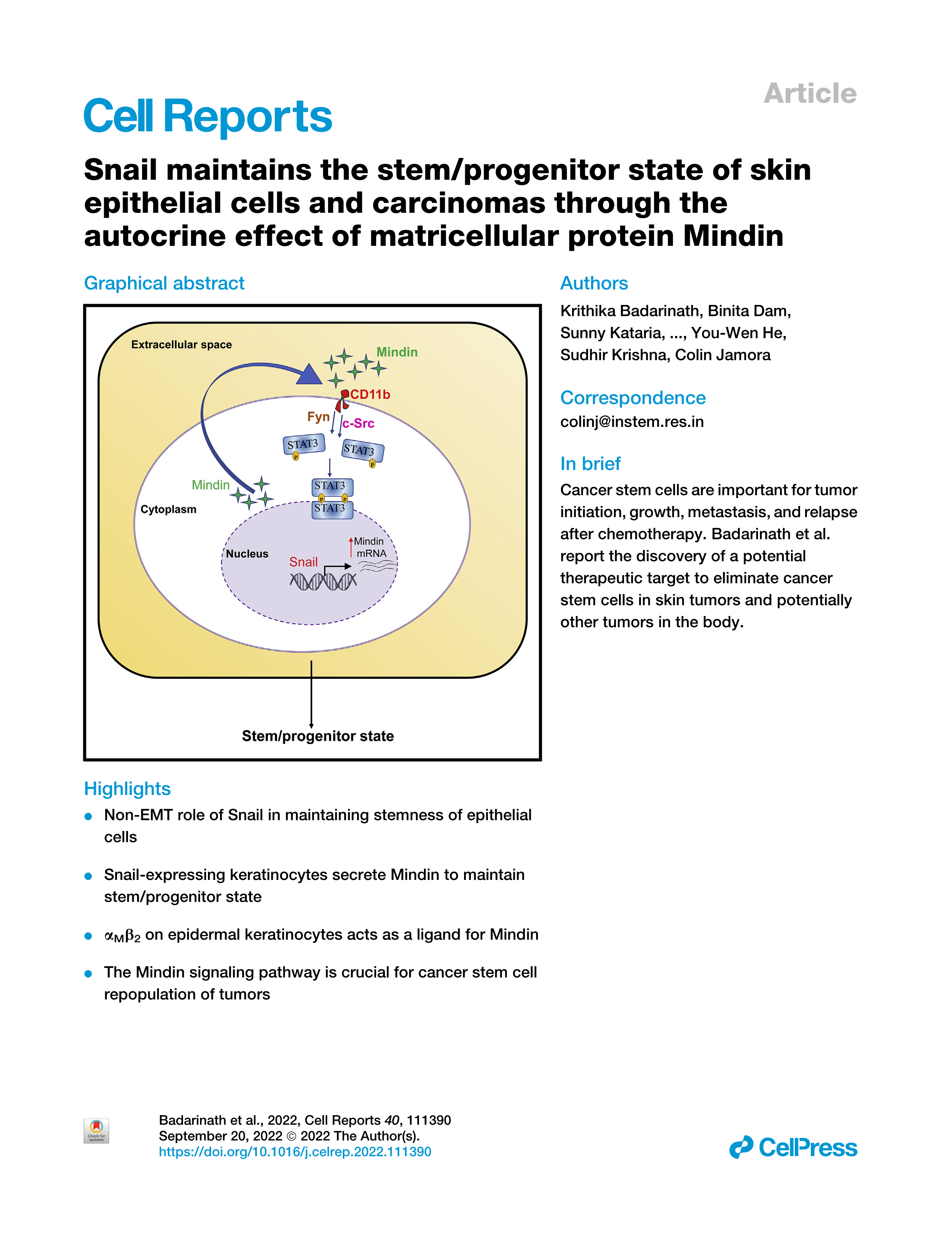 Snail maintains the stemprogenitor state of skin epithelial cells and carcinomas through the autocrine effect of matricellular protein Mindin