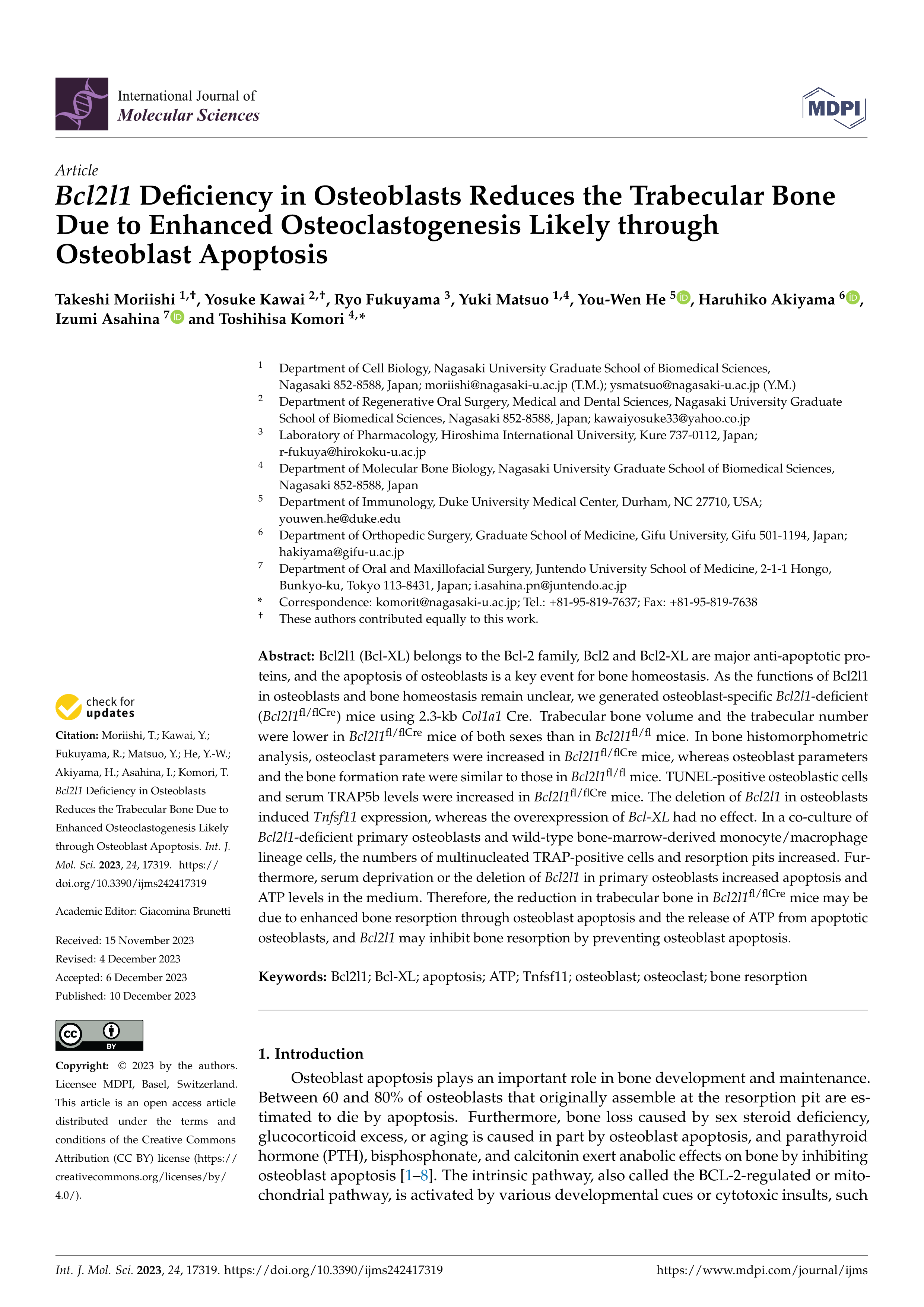 Bcl2l1 Deficiency in Osteoblasts Reduces the Trabecular Bone Due to Enhanced Osteoclastogenesis Likely through Osteoblast Apoptosis
